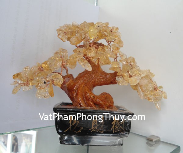 cay thach anh vang ca212 Châu Cây đá quý thạch anh vàng phong thủy nhỏ chiêu tài lộc CA212